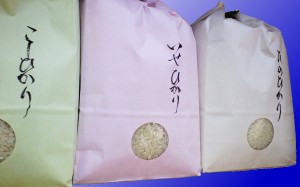 左から「こしひかり」、「いせひかり」、「ひのひかり」のひかり3兄弟(姉妹?) 左から「こしひかり」、「いせひかり」、「ひのひかり」のひかり3兄弟(姉妹?)