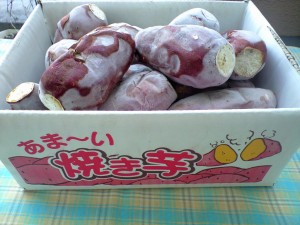 CA3A4396 CA3A4396