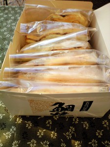 CA3A4730 CA3A4730